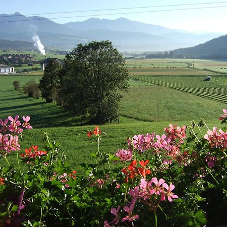 Ferienwohnungen Trattner Mauterndorf  Luaran gambar
