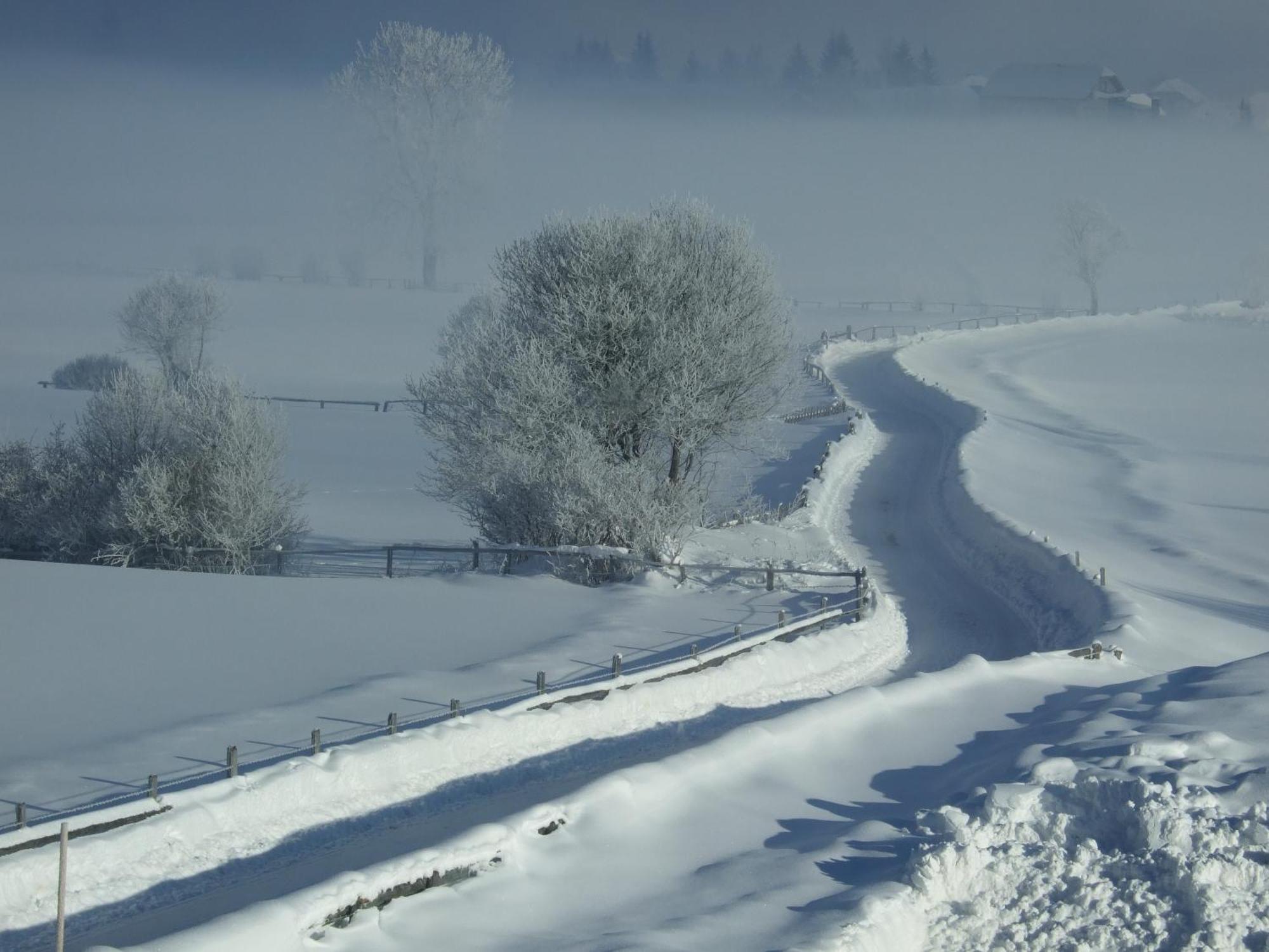 Ferienwohnungen Trattner Mauterndorf  Luaran gambar